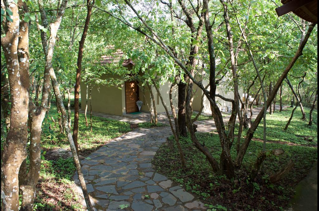 The Windflower Jungle Resort & Spa, Bandipūr Zewnętrze zdjęcie