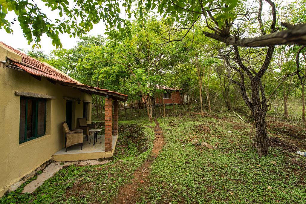 The Windflower Jungle Resort & Spa, Bandipūr Zewnętrze zdjęcie