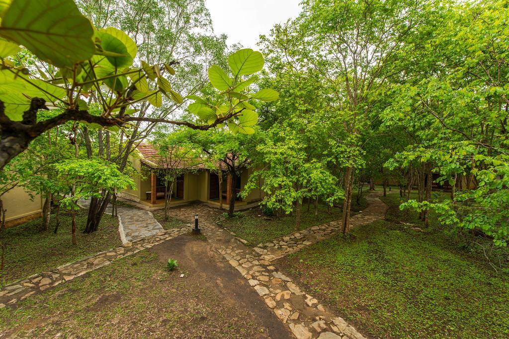 The Windflower Jungle Resort & Spa, Bandipūr Zewnętrze zdjęcie