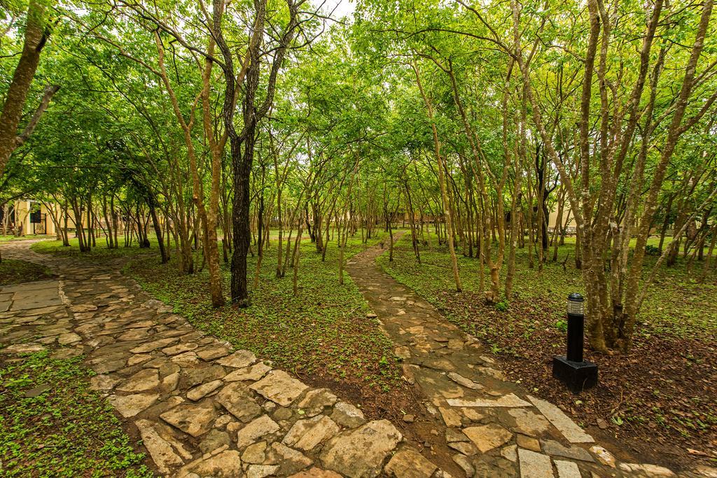 The Windflower Jungle Resort & Spa, Bandipūr Zewnętrze zdjęcie