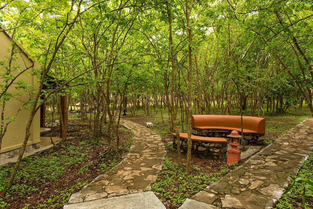 The Windflower Jungle Resort & Spa, Bandipūr Zewnętrze zdjęcie