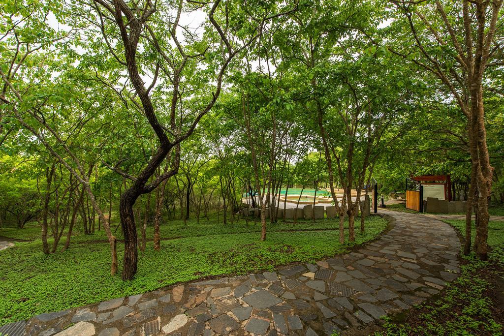 The Windflower Jungle Resort & Spa, Bandipūr Zewnętrze zdjęcie