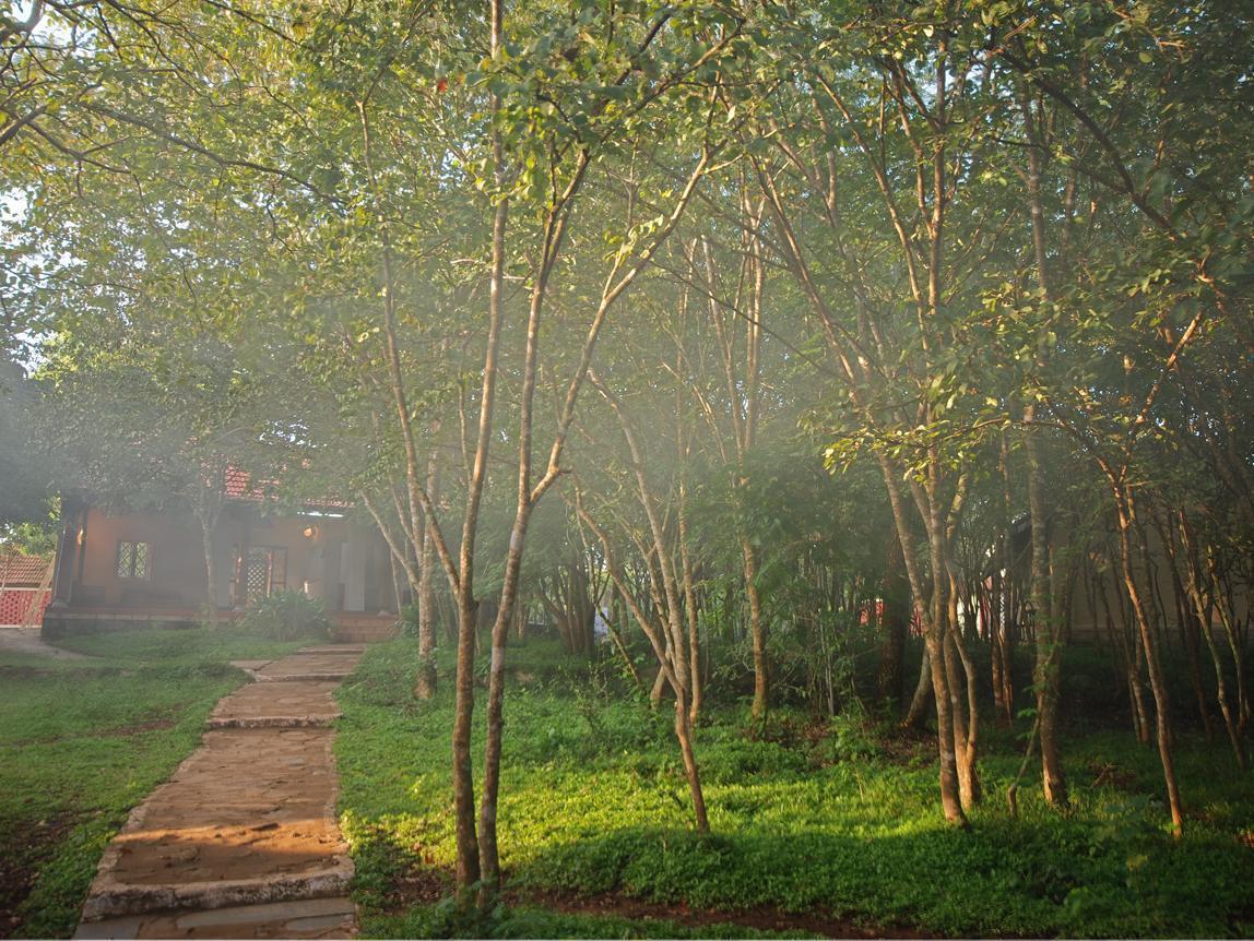 The Windflower Jungle Resort & Spa, Bandipūr Zewnętrze zdjęcie